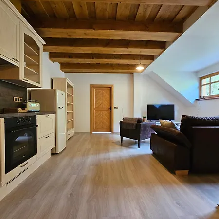 Apartmany Jezerne Velké Karlovice Room photo